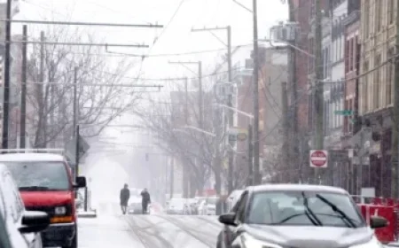 Scotiabank Surpasses Profit Estimates with Strong Capital Markets, Wealth Management