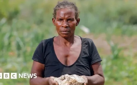 Africa Faces Challenge in Tackling Devastating Toxic Spill Tied to China