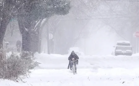 How many inches of snow today? New Jersey totals by region as early bands wind down