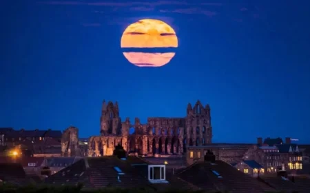 December Sky Delights: Supermoon and Rare Interstellar Comet