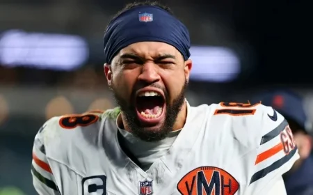 Bears Climb Higher as Lions Drop from Top 10 Rankings