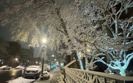 Major Snowstorm to Blanket Massachusetts Tuesday with Up to 9 Inches