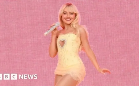 Sabrina Carpenter, Franklin Turtle Clash with Trump Administration