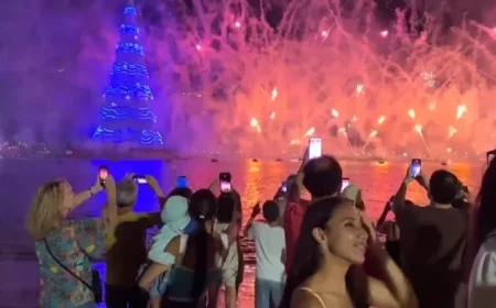 Brazil Hosts World’s Largest Christmas Tree: Record Still Unbroken