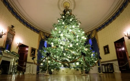 White House Christmas Decorations 2025: Melania Trump Unveils “Home Is Where the Heart Is”