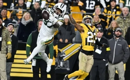 Steelers Restructure Roster: Add Samuel Jr., Thielen, Waive Slay