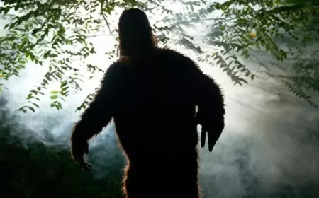 Bigfoot Hunters Close to Solving Mystery, Assert Creature’s Existence