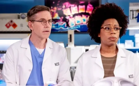 No NCIS Tonight: Release Dates for New Flagship, Origins, Sydney Episodes