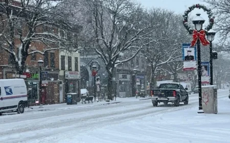 Snowfall Sweeps Across the Region: Stunning Photos