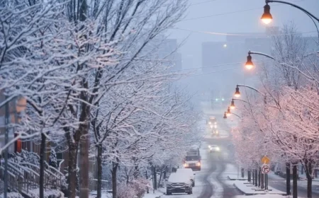 Pittsburgh’s Winter Debut Brings Beautiful Snowfall and Minor Disruptions