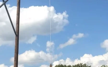 FirstEnergy Profits from Tree Trimming as It Raises Northeast Ohio Rates