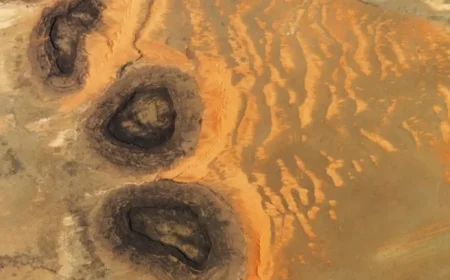 Rare Sahara Sand Dunes Emerge from Paleozoic ‘Black Mesas’ Seen from Space