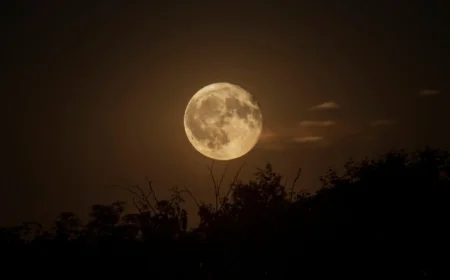 Moon Phase for December 3, 2025