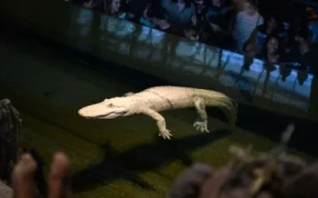 Moscow Peace Talks Stagnate as Putin Resists Compromise