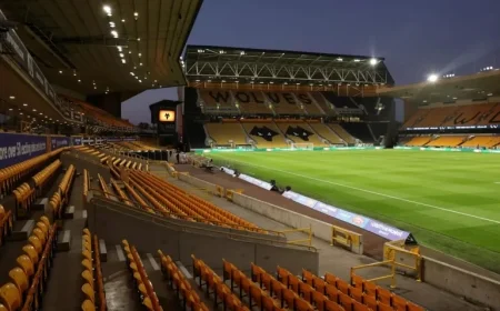 Wolves Aim to Ignite Rob Edwards Era Against Nottingham Forest