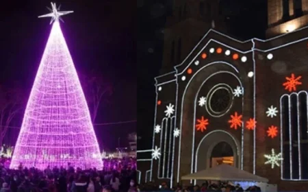 Discover Unmissable Activities in Mosquera