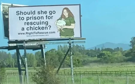 Prosecutors Push for 180-Day Sentence for Activist Zoe Rosenberg in Poultry Case