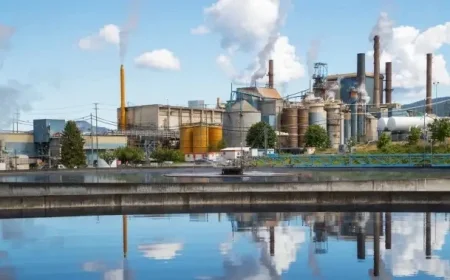 B.C. Pulp Mill Closure Leaves 350 Employees Jobless