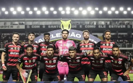 Download the Flamengo 2025 Brazilian Championship Winner Poster