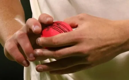 Pink-Ball Day-Night Cricket: Discover Challenges of The Ashes Twilight Zone