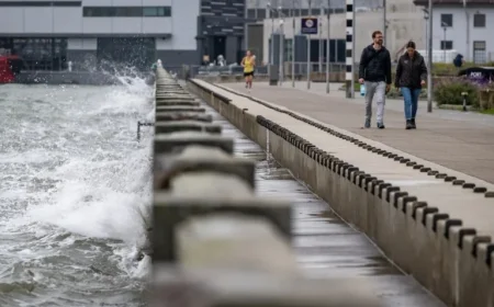 King Tides to Flood Bay Area: When and Where to Safely View