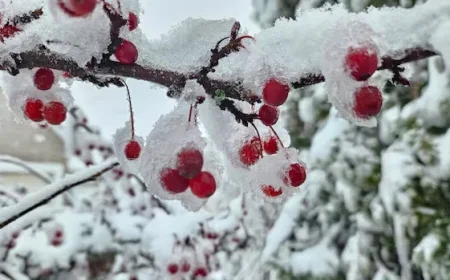 Frigid Winter Weather Approaches the Maritimes