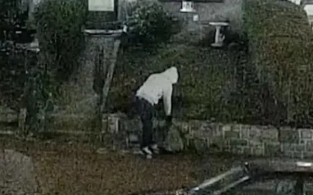 FBI Arrests Suspect in DC Pipe Bomber Case, Sources Report