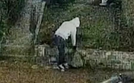 Suspect Apprehended in January 6th DC Pipe Bomb Investigation