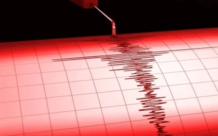 Quake Swarm Shakes North Bay Overnight and Morning