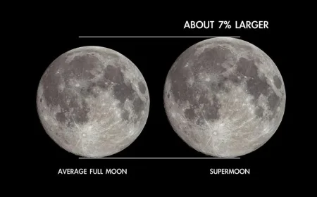 Full Moon December 2025: Cold Supermoon Lights Up the Sky Tonight