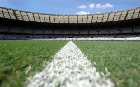 Cruzeiro vs Botafogo: Where to Watch, Lineups, and Referee Details