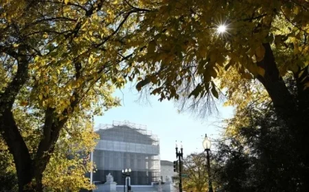 Supreme Court Approves Trump-Supported Texas Congressional Map for Midterms