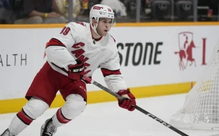 Hurricanes Recall Defenseman Domenick Fensore from AHL