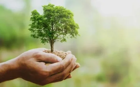 Discount Retailers Thrive, Surpassing Earnings Expectations