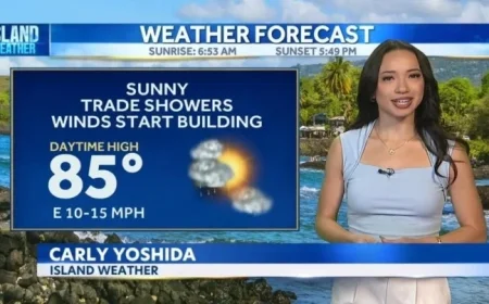 Trade Winds Strengthen as Weak Front Dissipates Westward