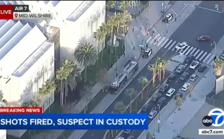 Woman Arrested for Allegedly Firing Gun Outside LA County Museum of Art