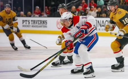 Habs Performance Analysis: Insights from First 25 Games