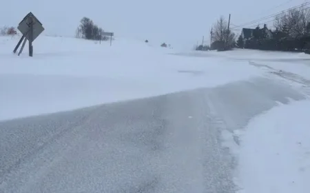 Strong Winds Strike P.E.I., Schools Closed, Thousands Lose Power