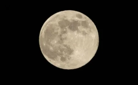 What is a “Supermoon,” the Phenomenon That Shone Brightly Last Night?
