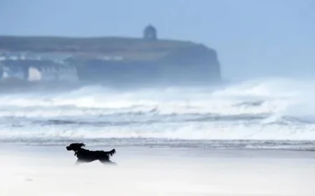 Yellow Weather Alert: 60mph Gusts Threaten Northern Ireland’s Coastline