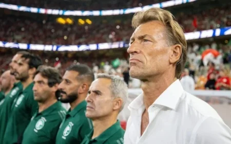 FIFA Resolves Controversy Surrounding Renard