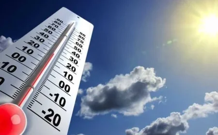 Egypt Alerts on Temperature Plunge, Fog, and Rainfall Conditions