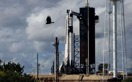 SpaceX Eyes Record $800B Valuation in Secondary Sale Talks