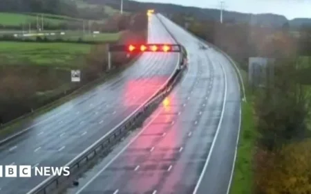 Tasered 18-Year-Old Struck by Car on Motorway Dies