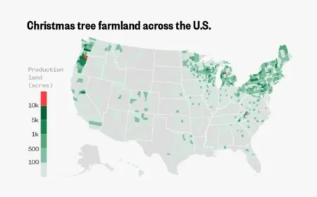Discover Top U.S. Regions for Christmas Tree Cultivation