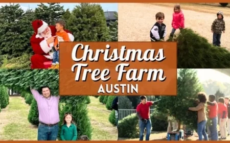 2025’s Top Christmas Tree Farms in Austin: Your Ultimate Guide