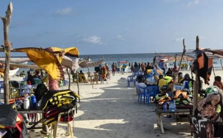 Mogadishu Residents Challenge Trump’s Remarks: NPR