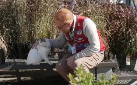 Virginia Lowe’s Staff Mobilizes to Find Beloved Missing Cat
