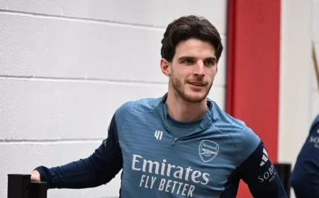 Rice Excels in Versatile Performance: An In-Depth Feature