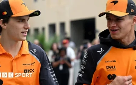 Zak Brown: McLaren to Use ‘Common Sense’ on Team Orders at Abu Dhabi GP